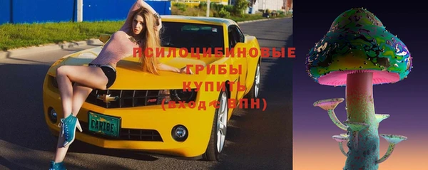 mdpv Магадан