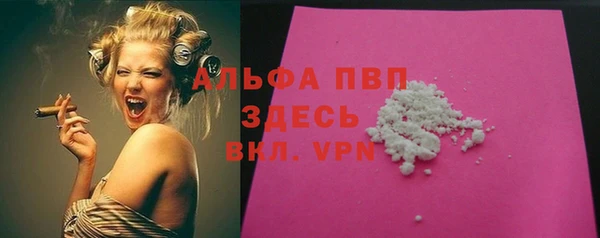 прущие грибы Верея