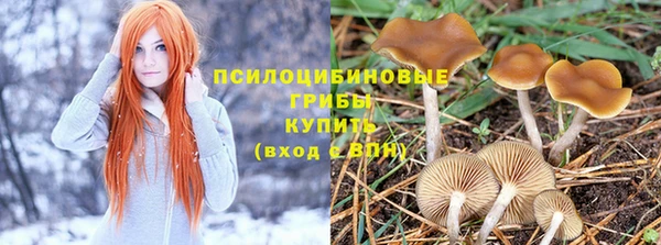 герыч Магас