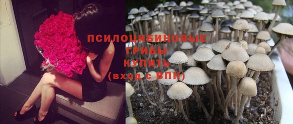 mdpv Магадан
