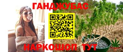 эйфоретик Аргун