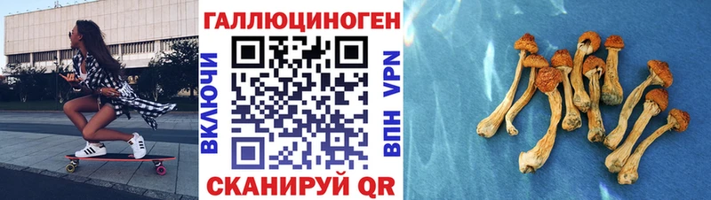 KRAKEN ссылка  Выкса  Псилоцибиновые грибы GOLDEN TEACHER  купить наркоту 
