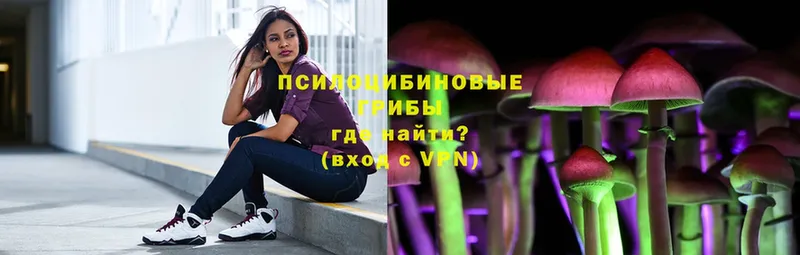 что такое   omg ссылки  Галлюциногенные грибы ЛСД  Выкса 