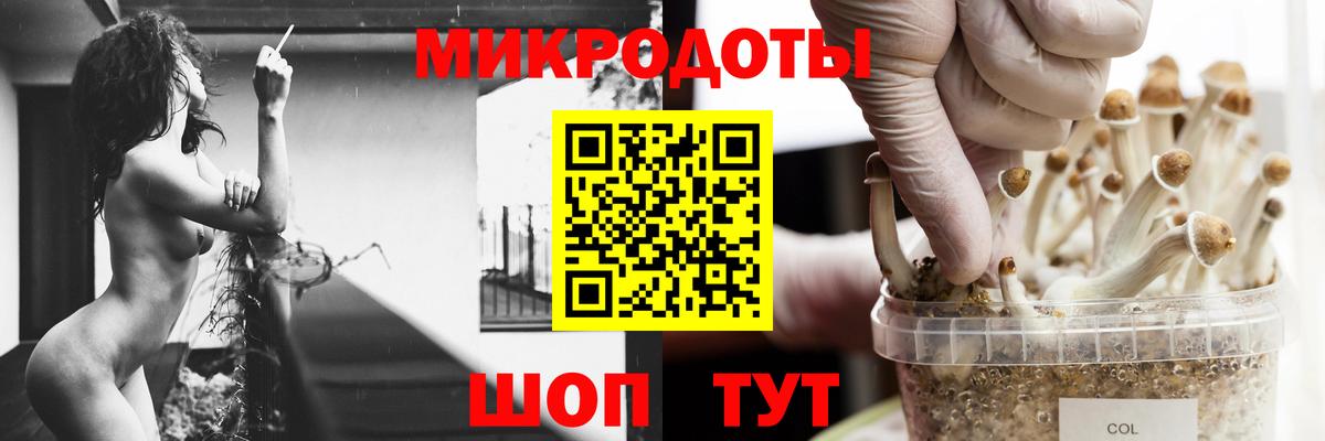 Галлюциногенные грибы ЛСД  Псилоцибиновые грибы мицелий  Выкса  Вход с VPN 