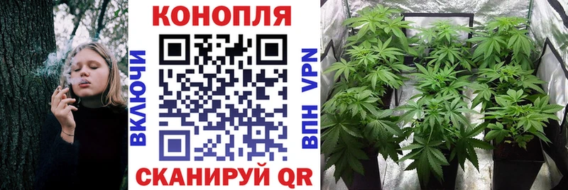 kraken как зайти  Выкса  Конопля OG Kush 