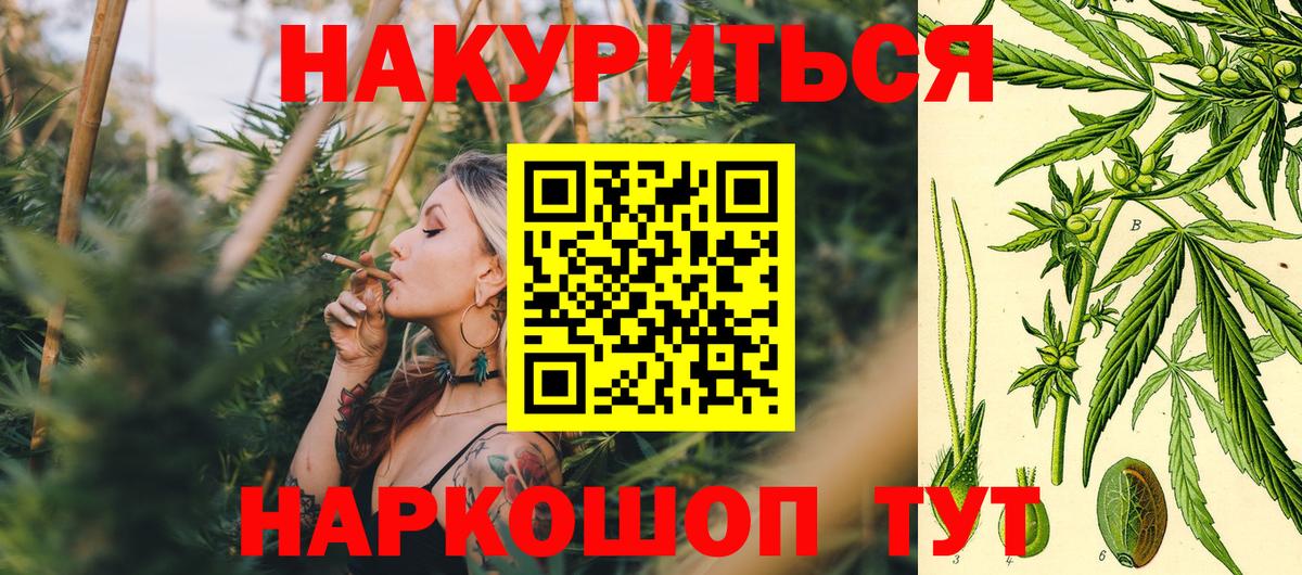 Бошки марихуана SATIVA & INDICA  Вход с VPN  Каннабис Ganja  Выкса  Марихуана ГИДРОПОН  МАРИХУАНА планчик 
